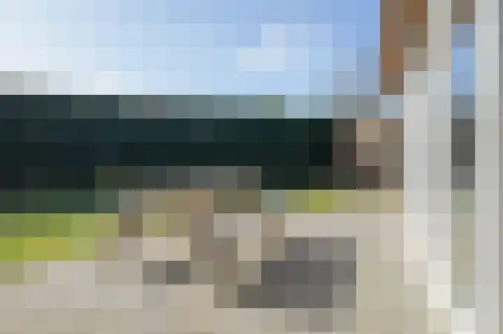 Zanddijk 204 De Cocksdorp thumbnail 18