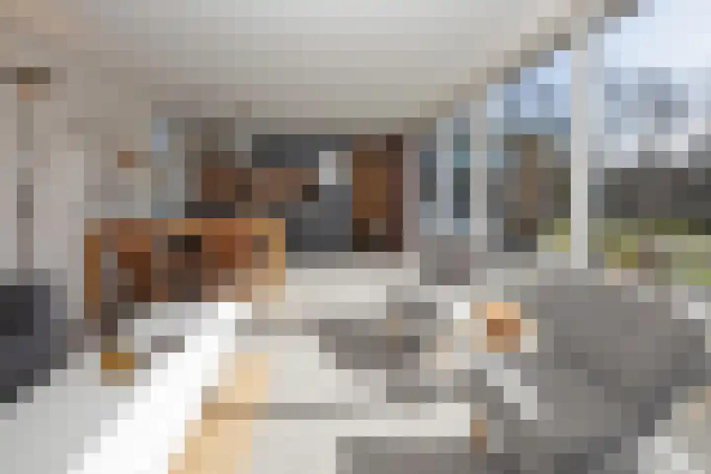 Zanddijk 204 De Cocksdorp thumbnail 6