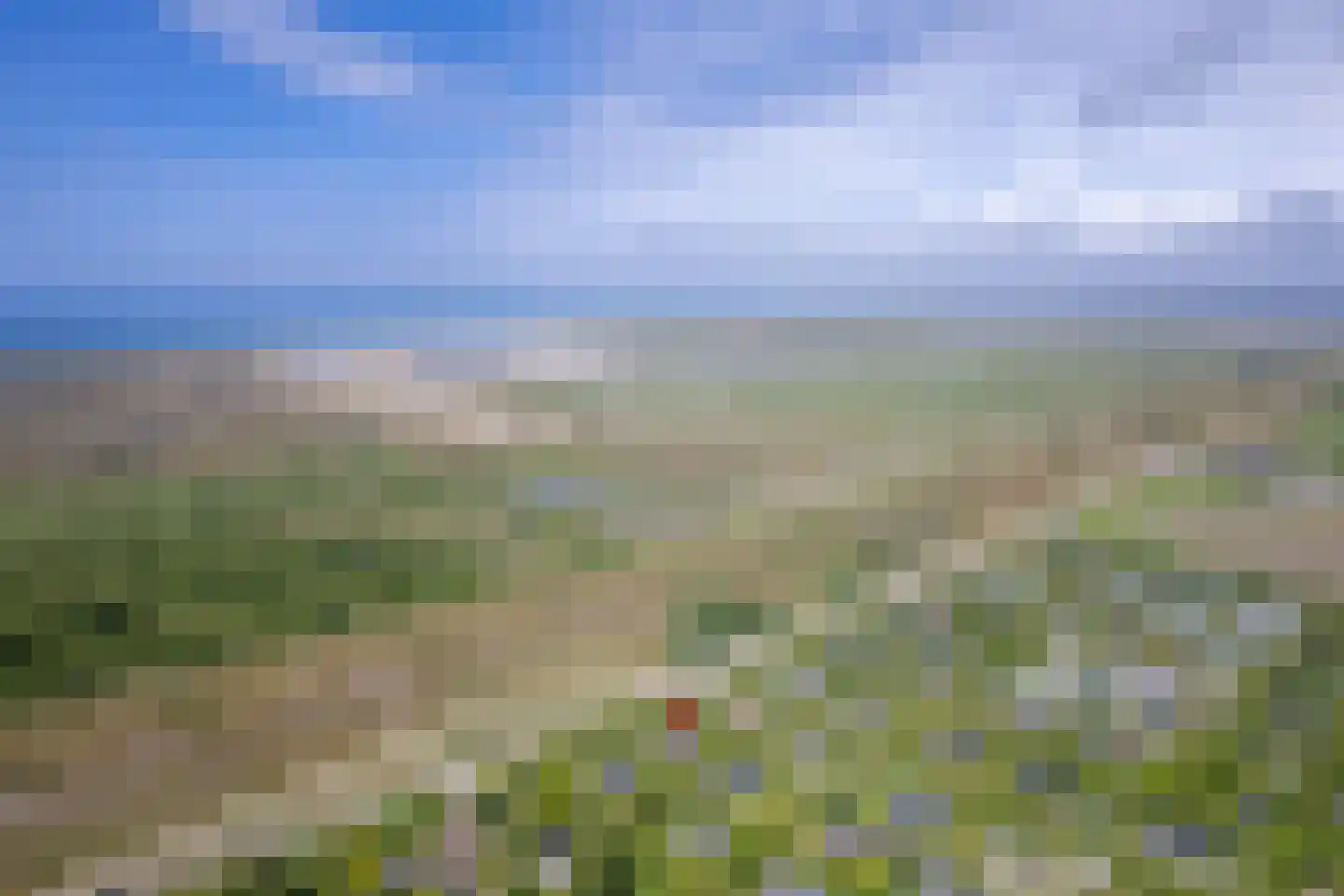 Zanddijk 216 De Cocksdorp thumbnail 11