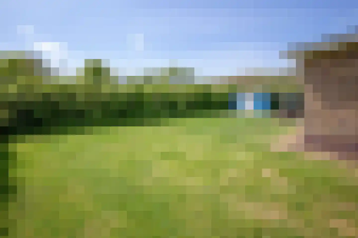 Zanddijk 216 De Cocksdorp thumbnail 5