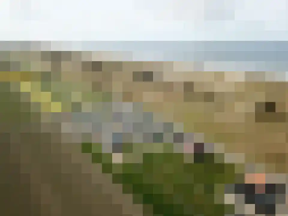 Zanddijk 259 Julianadorp thumbnail 26