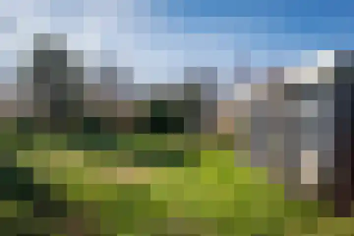 Zanddijk 262 De Cocksdorp thumbnail 29