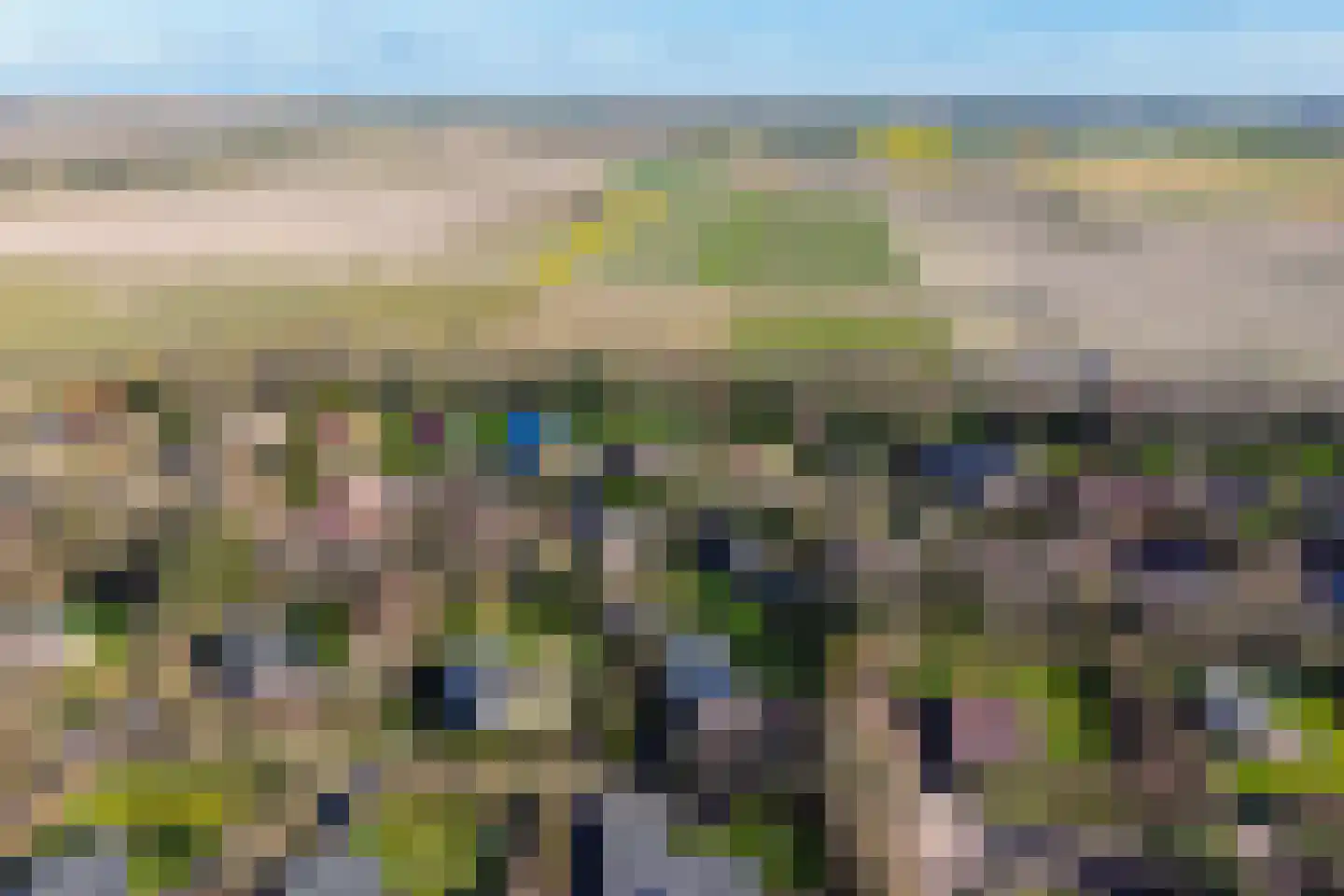 Zanddijk 262 De Cocksdorp thumbnail 32