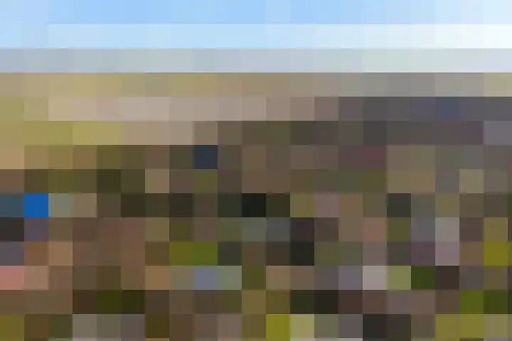 Zanddijk 262 De Cocksdorp thumbnail 4