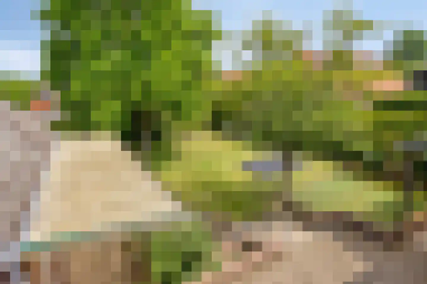 Zanddijk 32 Escharen thumbnail 42