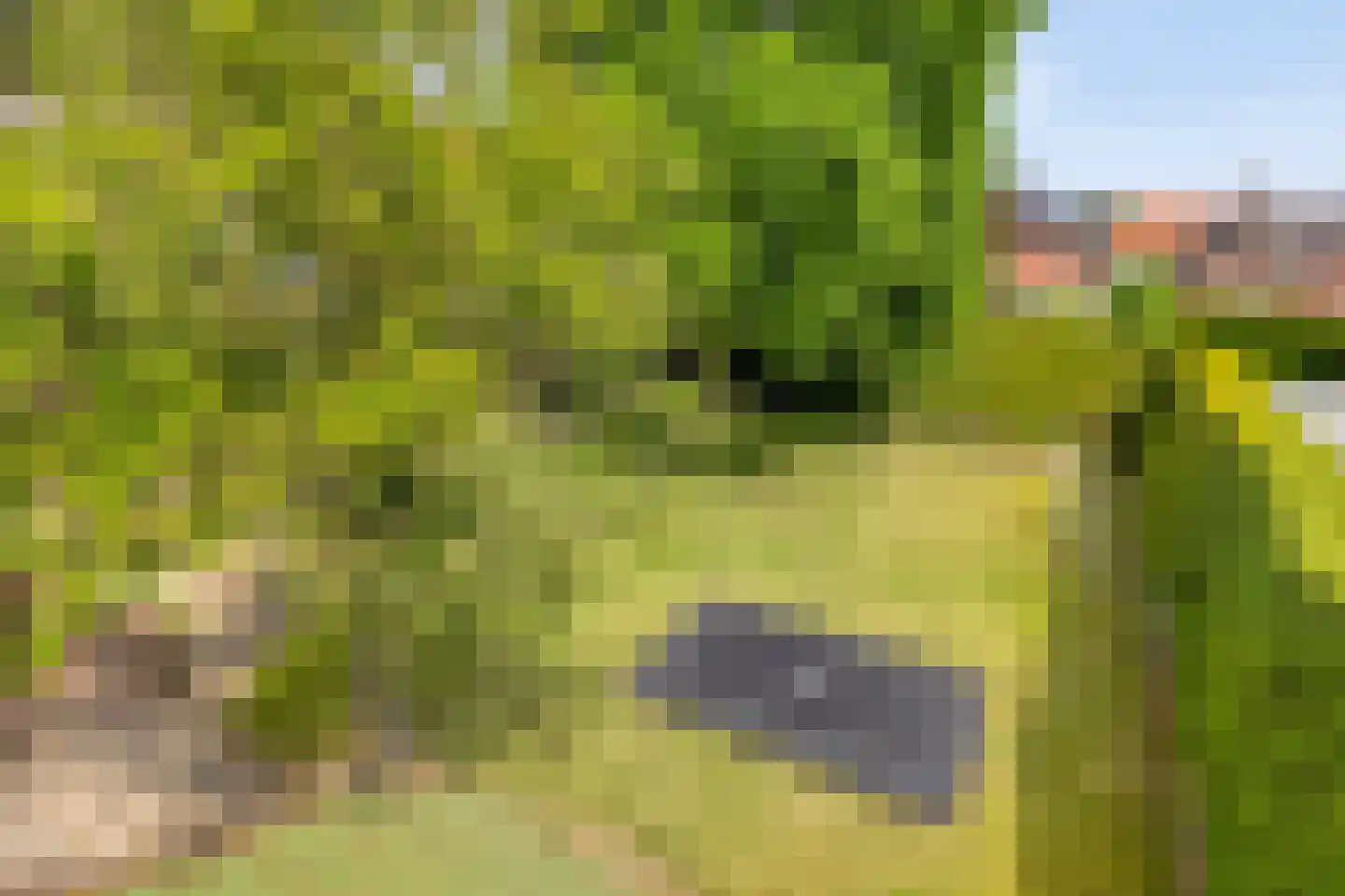 Zanddijk 32 Escharen thumbnail 43