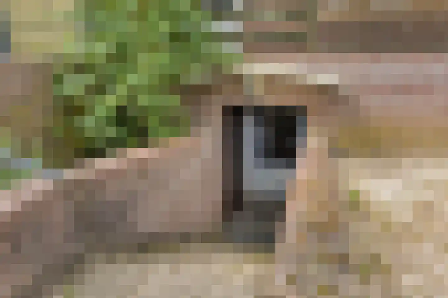 Zanddijk 32 Escharen thumbnail 53