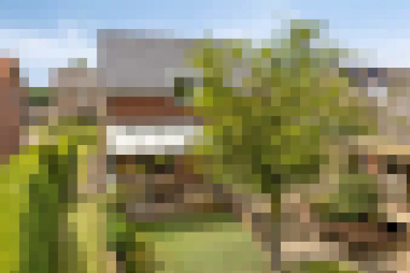 Zanddijk 32 Escharen thumbnail 58
