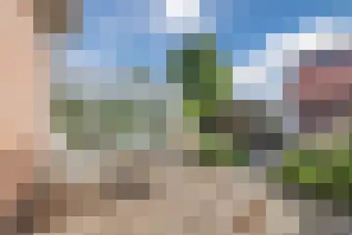 Zanddijk 34 Escharen thumbnail 16