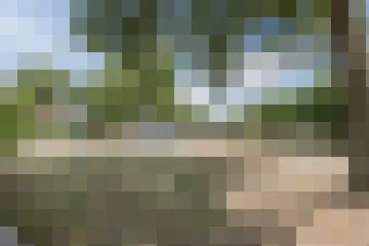 Zanddijk 34 Escharen thumbnail 22
