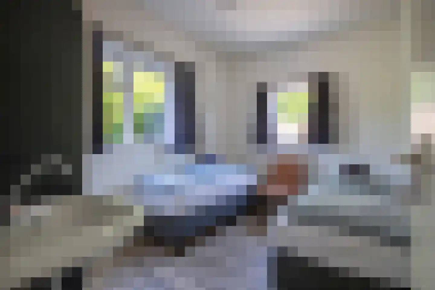 Zanddijk 348 De Cocksdorp thumbnail 13