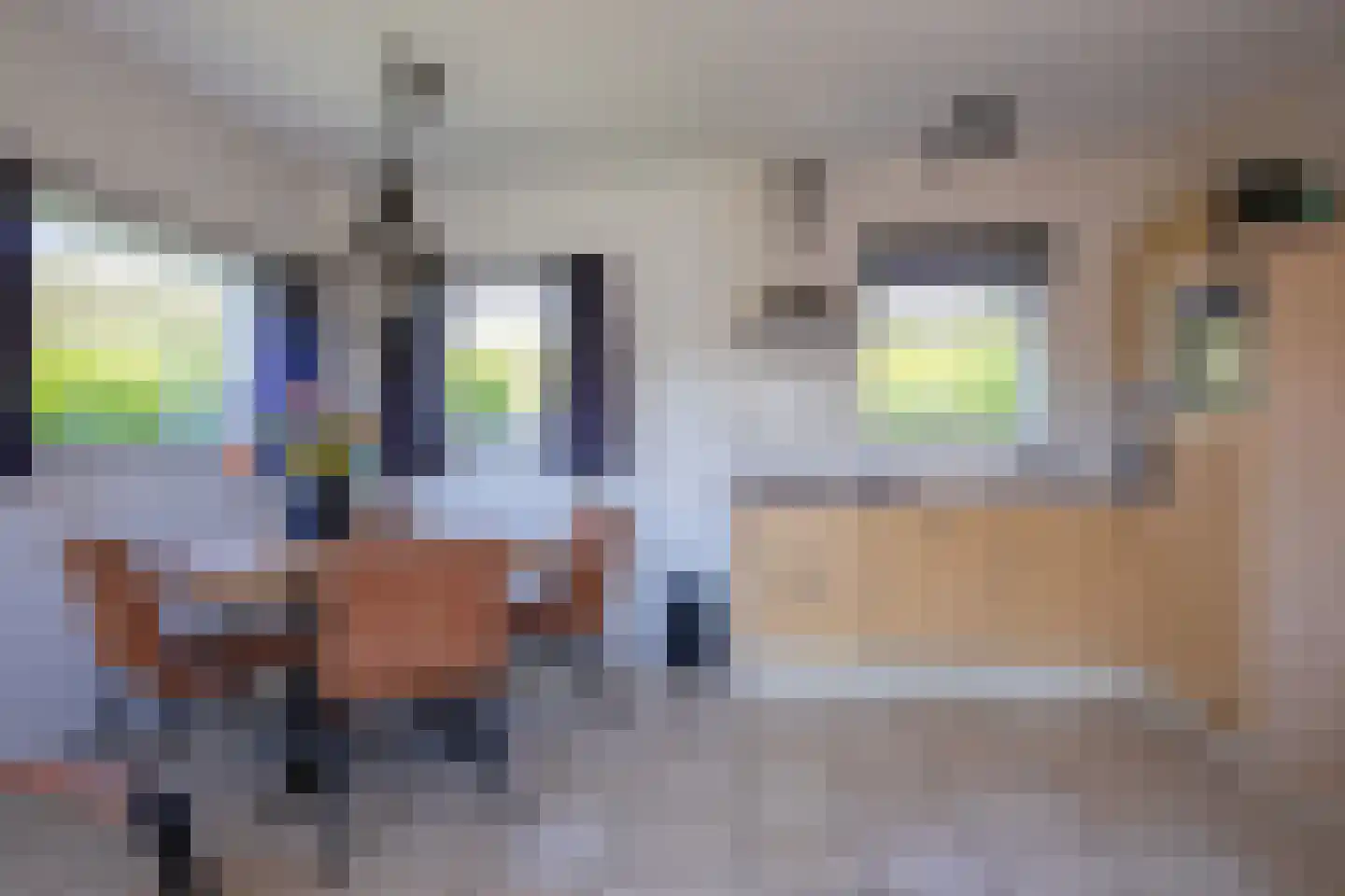 Zanddijk 348 De Cocksdorp thumbnail 9