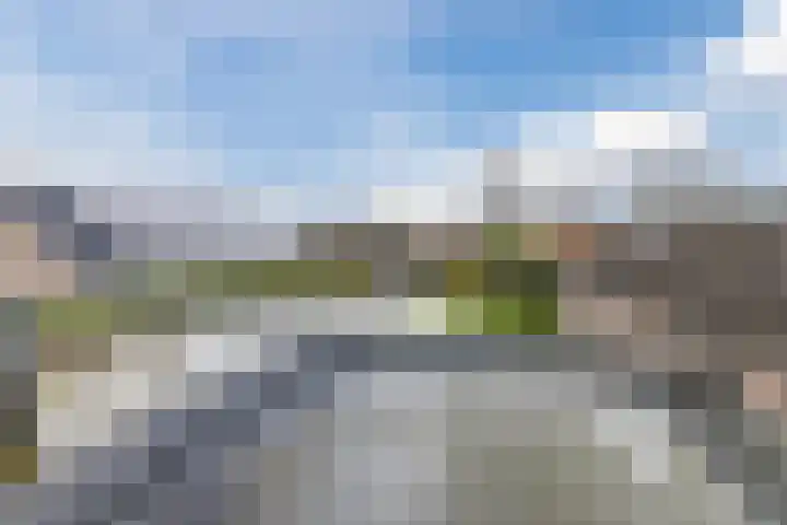 Zanddijk 40 Escharen thumbnail 20