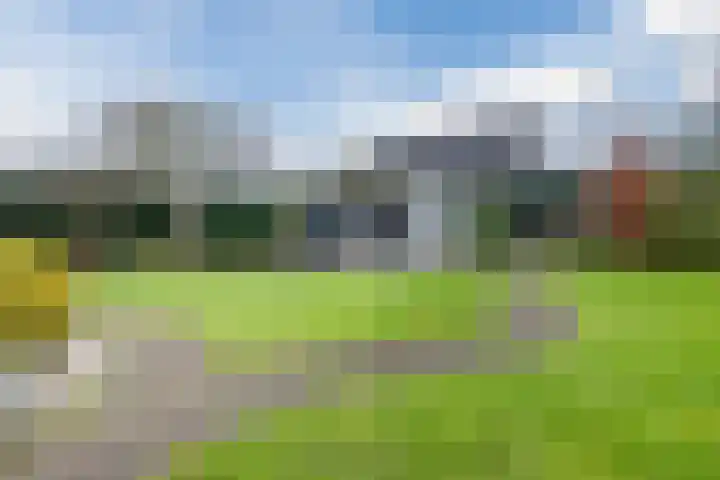 Zanddijk 40 Escharen thumbnail 30