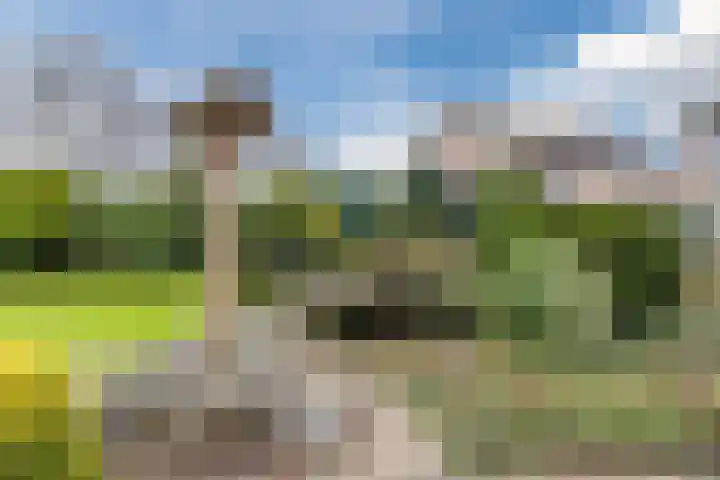 Zanddijk 40 Escharen thumbnail 32