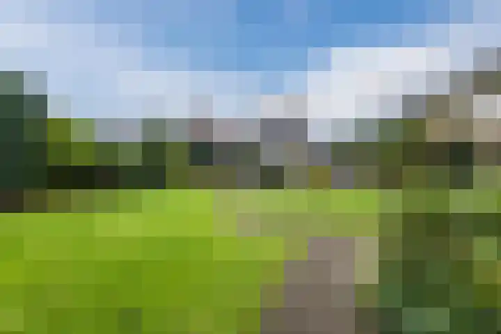 Zanddijk 40 Escharen thumbnail 33
