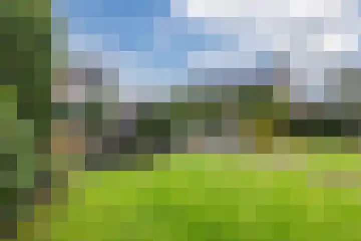 Zanddijk 40 Escharen thumbnail 34