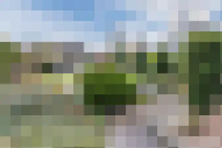 Zanddijk 40 Escharen thumbnail 4