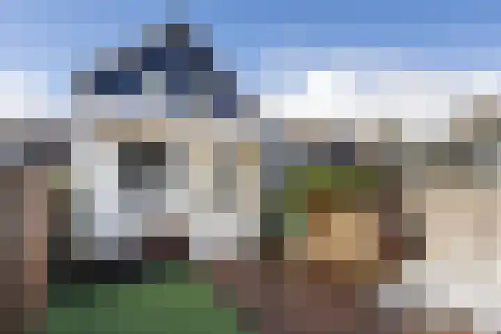 Zanddijk 44 Rozenburg thumbnail 4