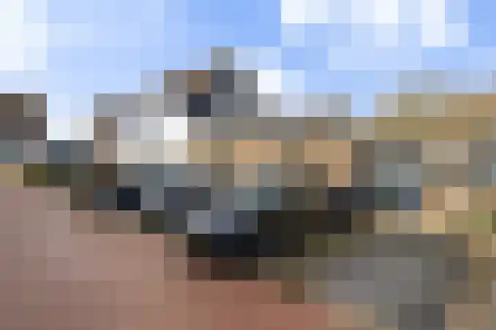 Zanddijk 44 Rozenburg thumbnail 48