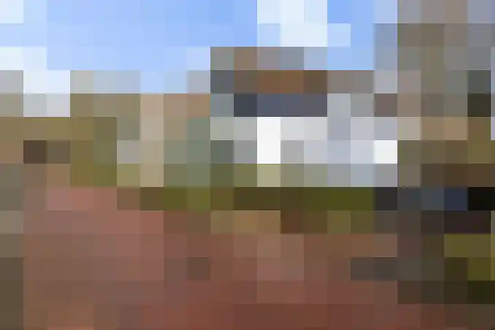Zanddijk 44 Rozenburg thumbnail 49