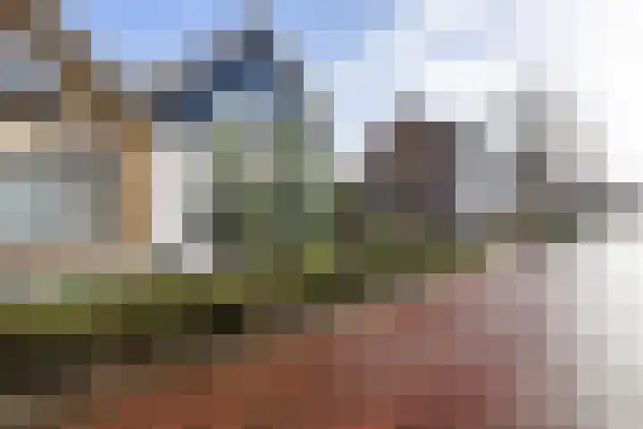 Zanddijk 44 Rozenburg thumbnail 51
