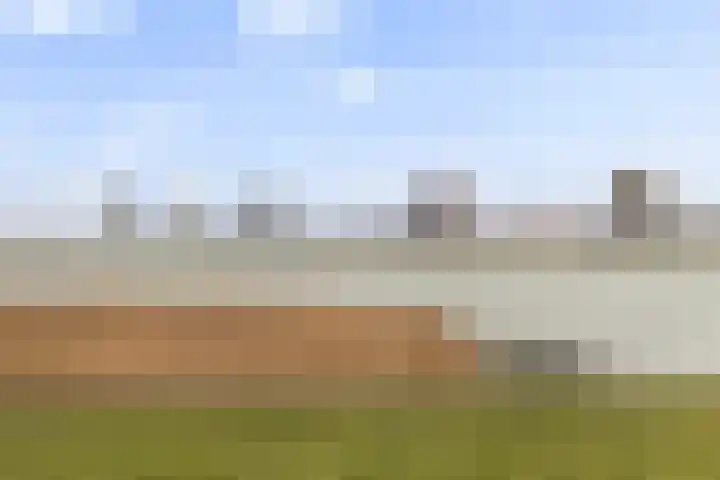 Zanddijk 44 Rozenburg thumbnail 53