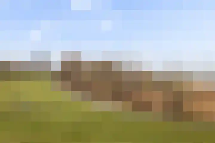 Zanddijk 44 Rozenburg thumbnail 54