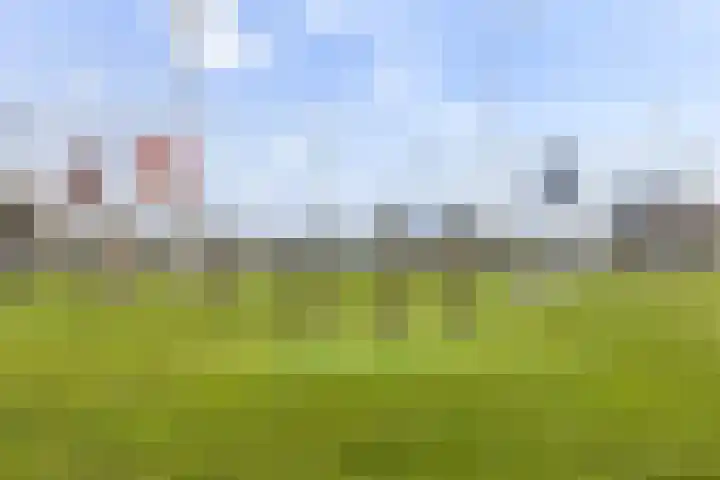 Zanddijk 44 Rozenburg thumbnail 55