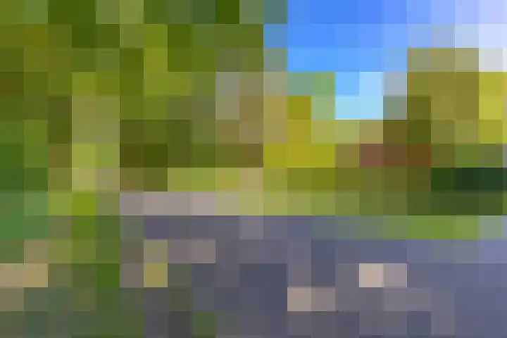 Zanddijk 56 Roswinkel thumbnail 4