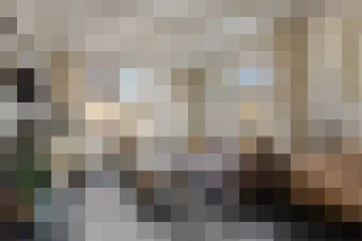 Zanddijk 7 Escharen thumbnail 10