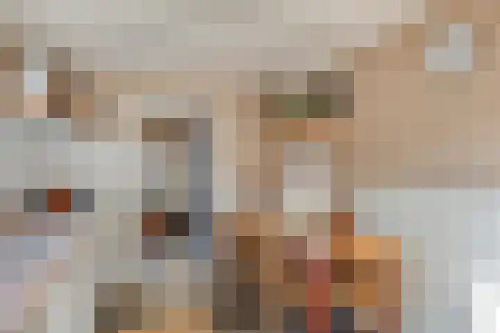 Zanddijk 7 Escharen thumbnail 17
