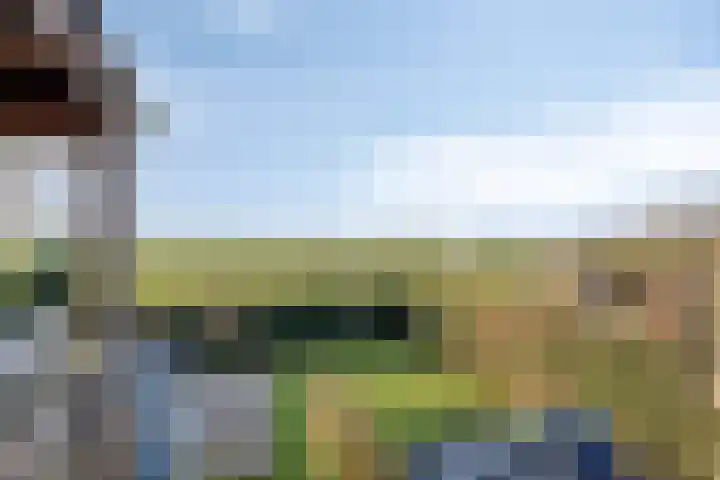 Zanddijk 7 Escharen thumbnail 23