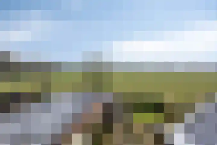Zanddijk 7 Escharen thumbnail 26