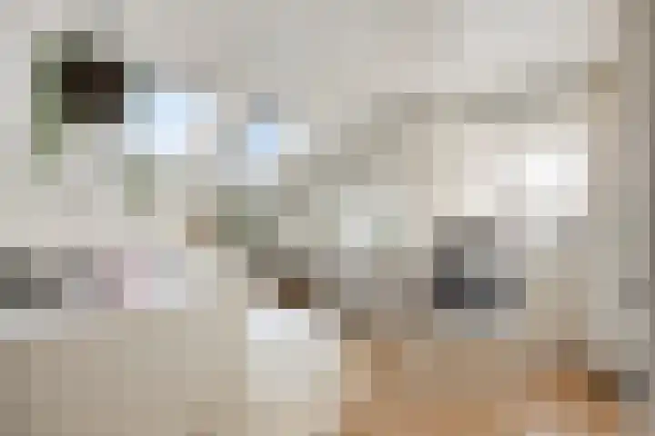 Zanddijk 7 Escharen thumbnail 32