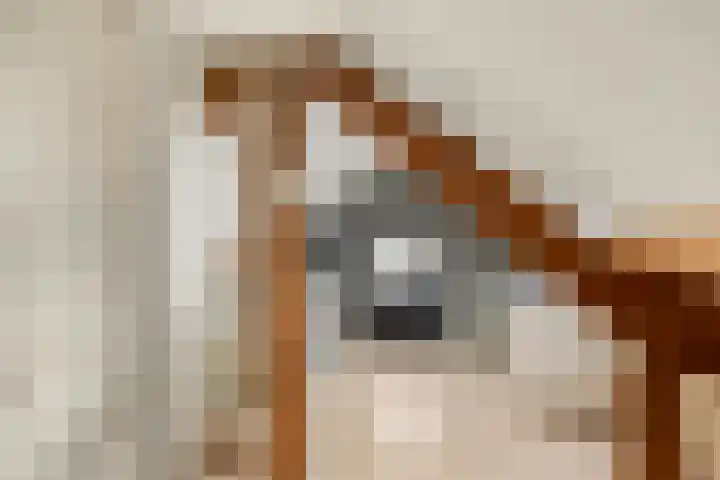 Zanddijk 7 Escharen thumbnail 34
