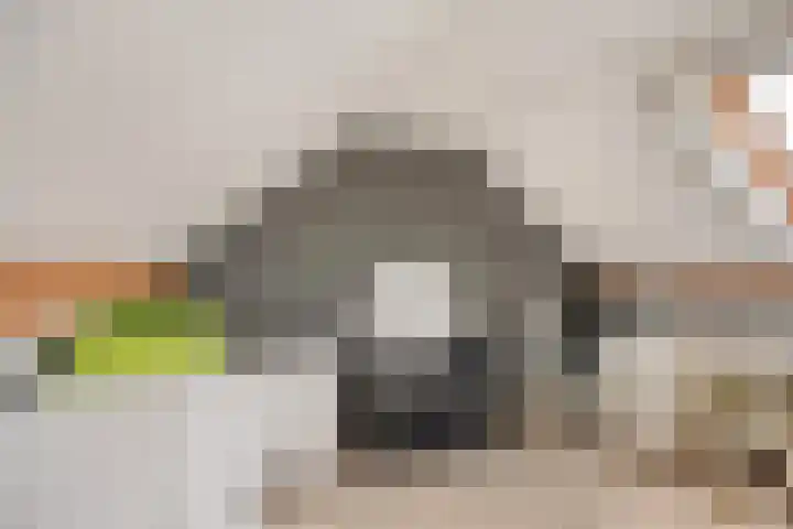 Zanddijk 7 Escharen thumbnail 35