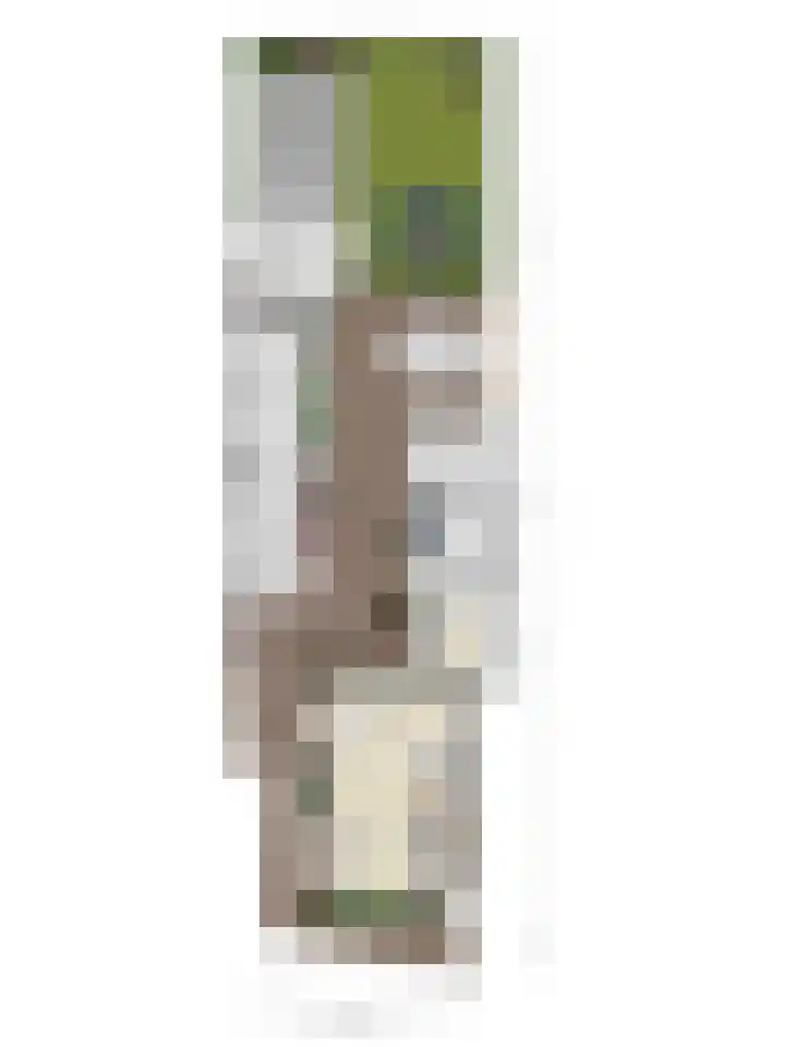 Zanddijk 7 Escharen thumbnail 37