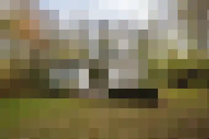 Zanddijk 72 De Cocksdorp thumbnail 29