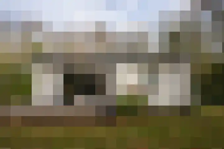 Zanddijk 72 De Cocksdorp thumbnail 32