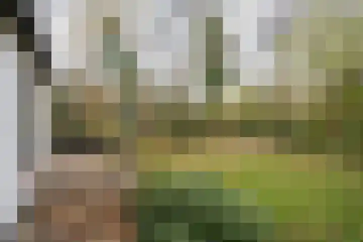 Zanddijk 72 De Cocksdorp thumbnail 33