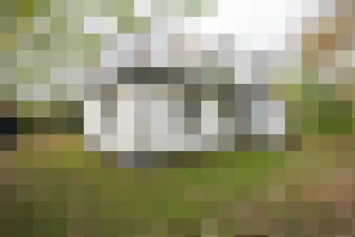 Zanddijk 72 De Cocksdorp thumbnail 37