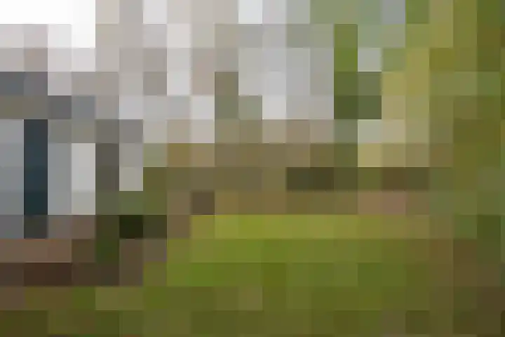 Zanddijk 72 De Cocksdorp thumbnail 38