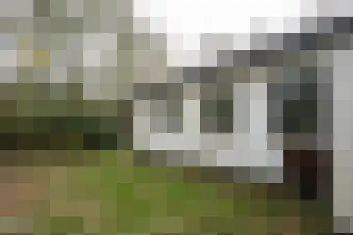 Zanddijk 72 De Cocksdorp thumbnail 39