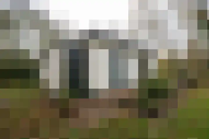 Zanddijk 72 De Cocksdorp thumbnail 40
