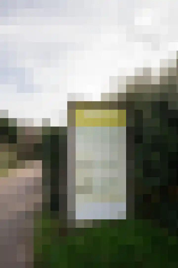 Zanddijk 72 De Cocksdorp thumbnail 44