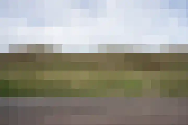 Zanddijk 72 De Cocksdorp thumbnail 45