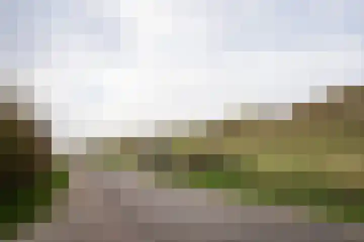 Zanddijk 72 De Cocksdorp thumbnail 46