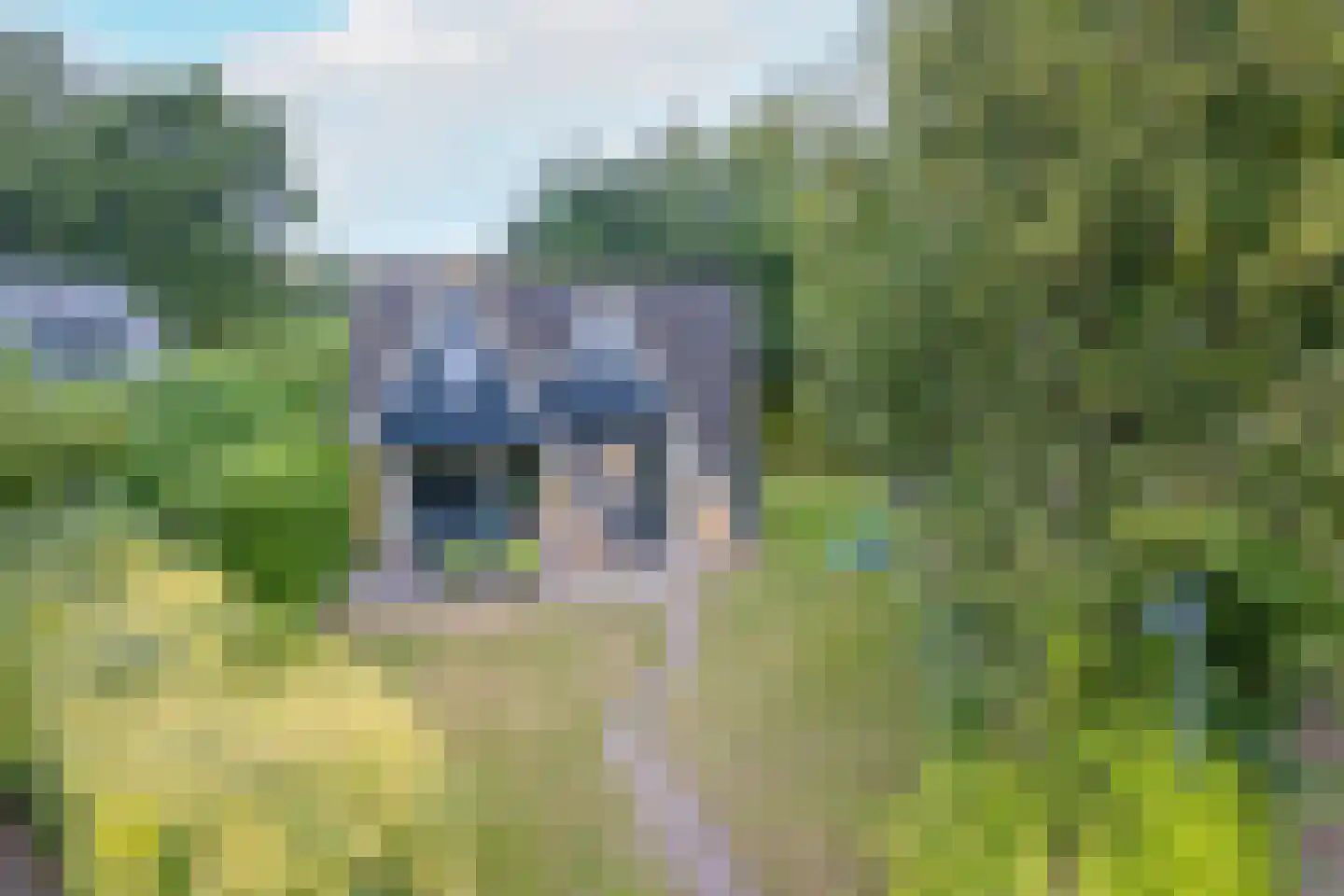 Zanddijk 76 De Cocksdorp thumbnail 34