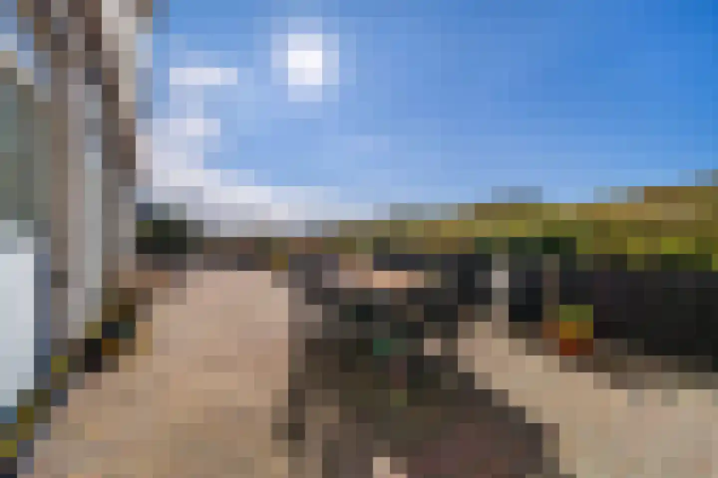 Zanddijk 89 Julianadorp thumbnail 27